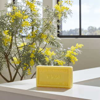 Saponetta Mimosa
